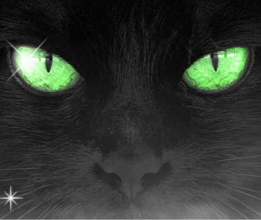 UNE NOUVELLE SÉRIE!